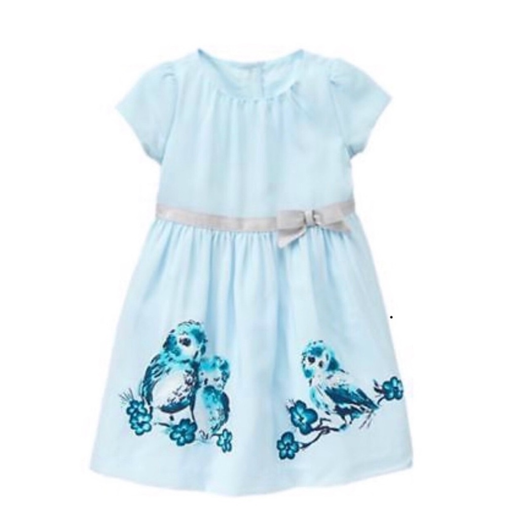 Gymboree Light Blue Owl Dress 12-18 months
